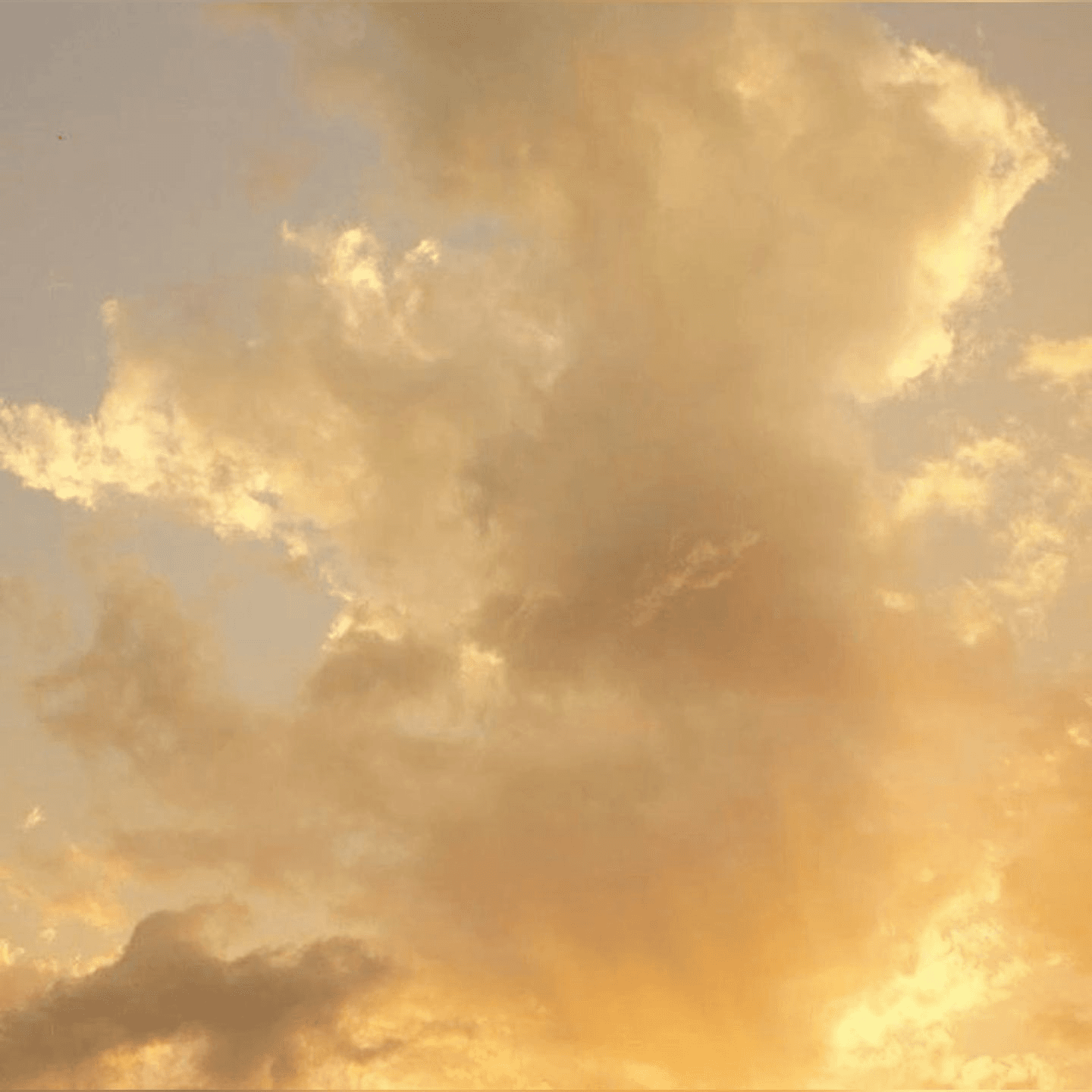 Golden sky with soft clouds